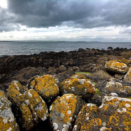 Tern Cottage Groomsport Extérieur photo